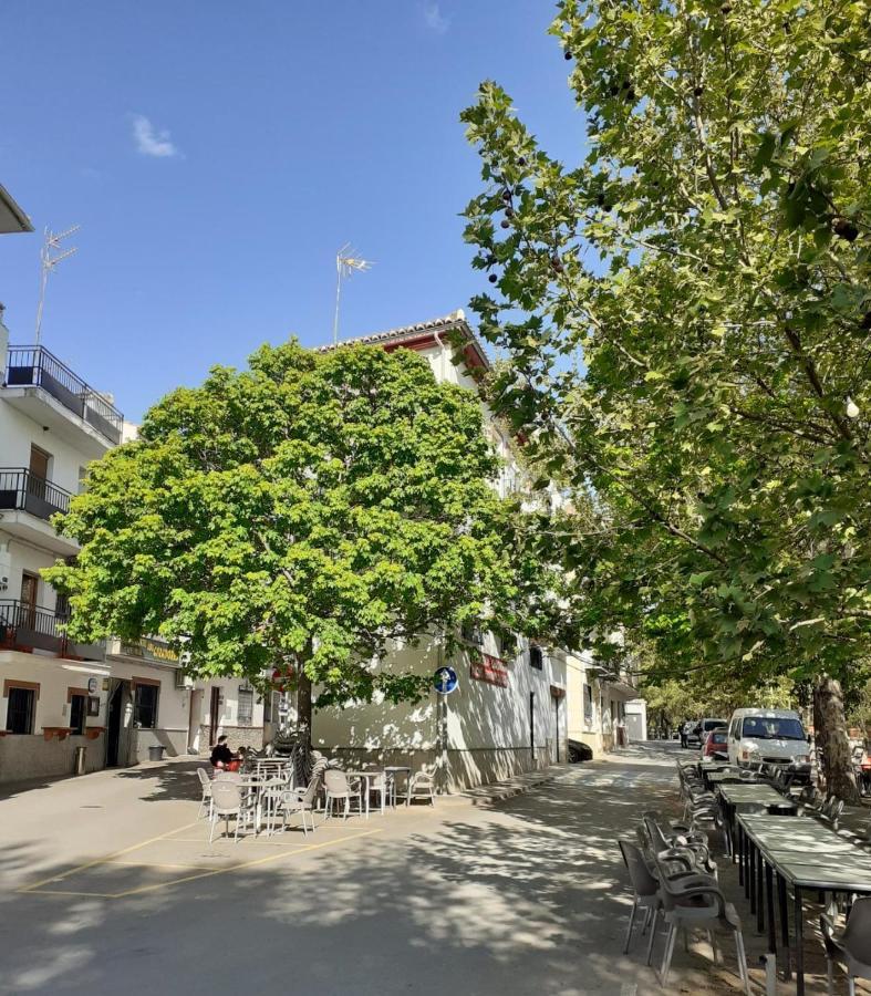 Apartamentos Pinos Genil Zewnętrze zdjęcie